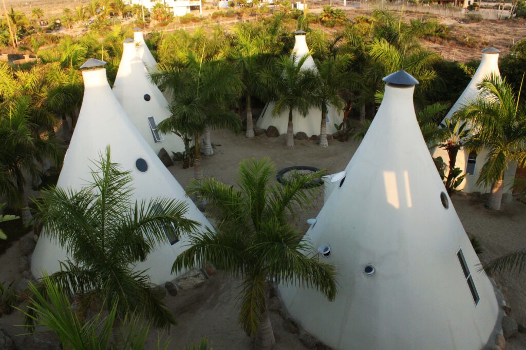 Tribu Todos Santos - Community