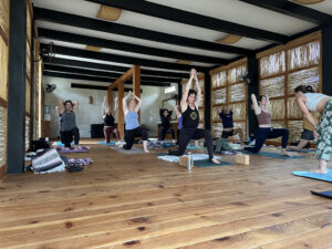 yoga venues in Todos Santos