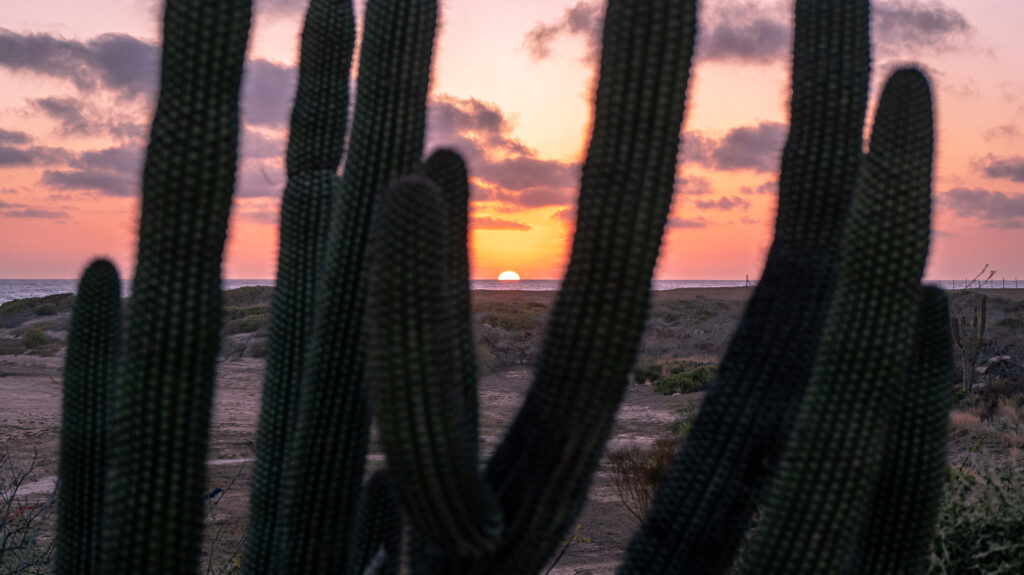 desert retreats