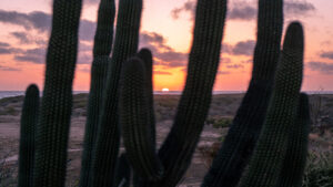 desert retreats