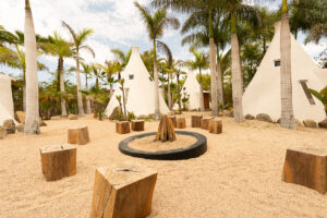 desert wellness retreats