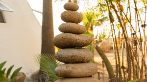 ayurvedic retreat Mexico
