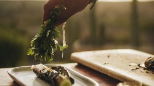 nervous system reset retreat