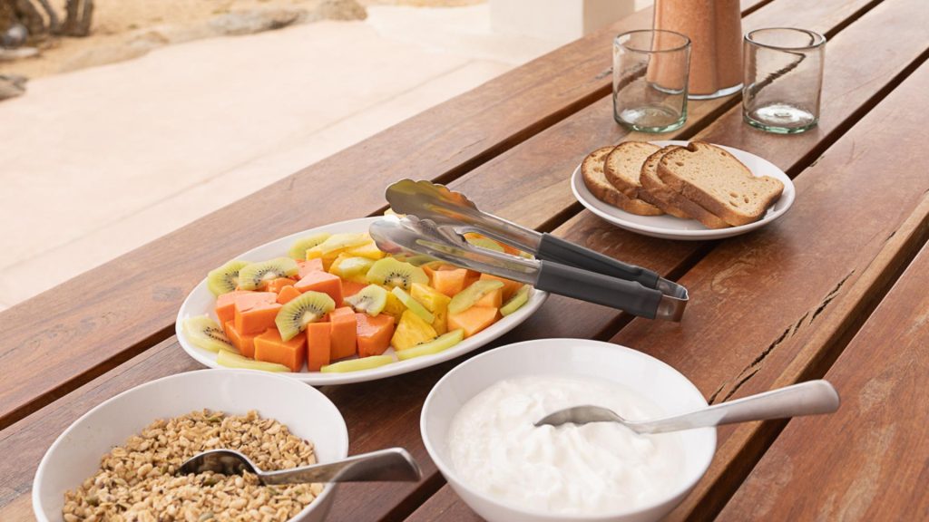plant-based retreat Mexico