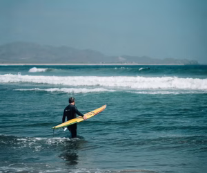 Eco-hotel Todos Santos