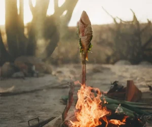 Best hotels in Todos Santos