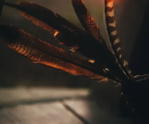 Tribu Todos Santos Hotel