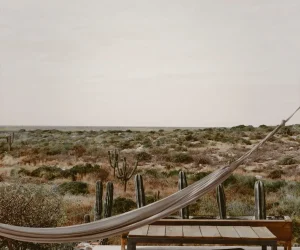 Hotel near art galleries Todos Santos