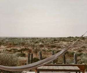 Hotel near art galleries Todos Santos